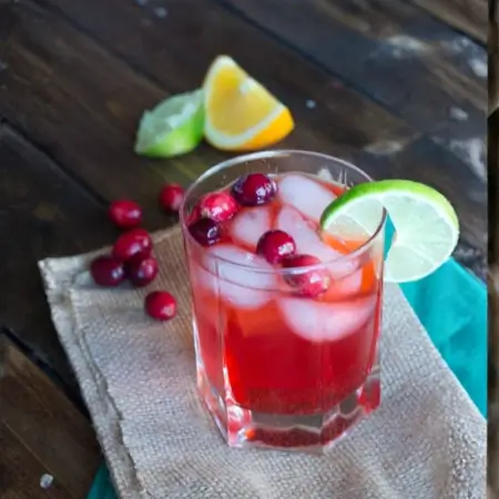 Cranberry Fizz