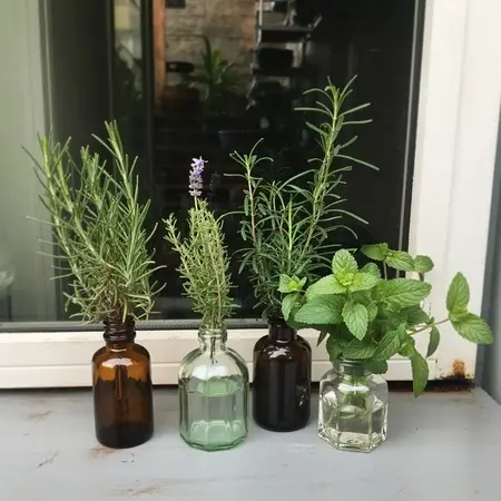 recycle fragrance bottles by using them in gardening