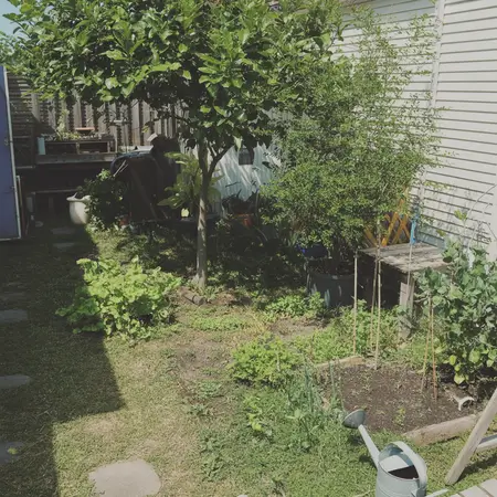 improve environment with gardening