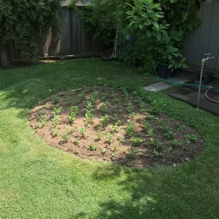 How to Make a Flower Bed