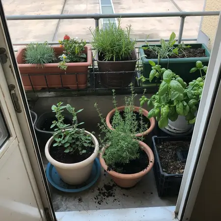 gardening for beginners start with container gardening