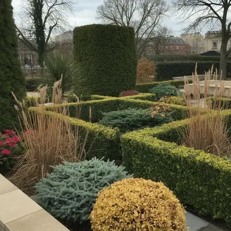 plant flowers that last long and maintain structure