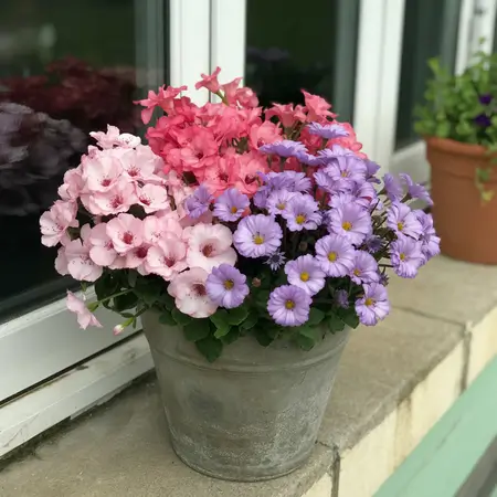 Color-Themed Pots 