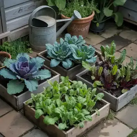 Square foot gardening using leafy greens