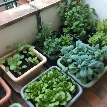 leafy greens for your terrace garden