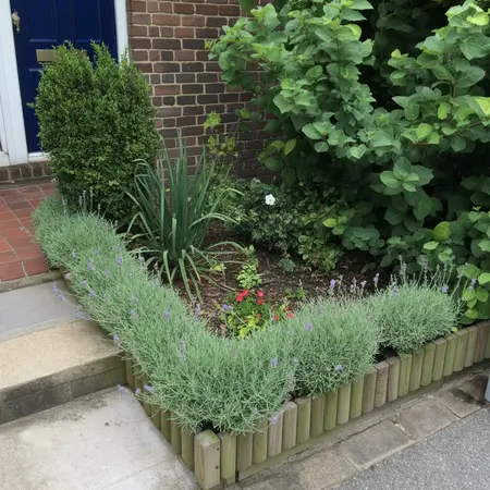 tiny front garden with grass on edge