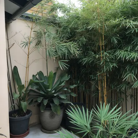 design the patio corner to give tropical vibe