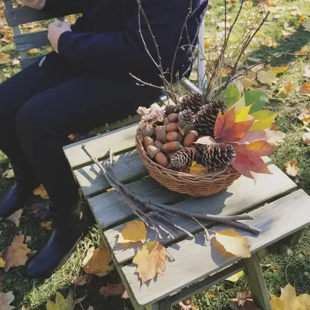 Autumn decoration with leaves and pinecones