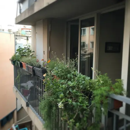 Ways to Grow Plants in Tiny Apartments